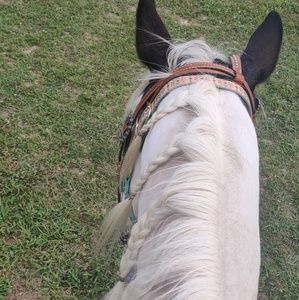 Meet your Posher, Lexi